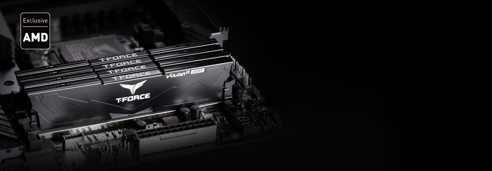 Exclusive DDR5 memory for AMD