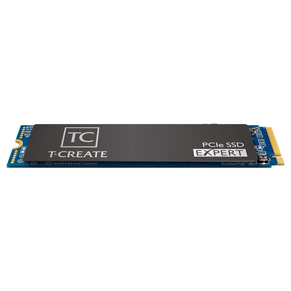 EXPERT PCIe SSD