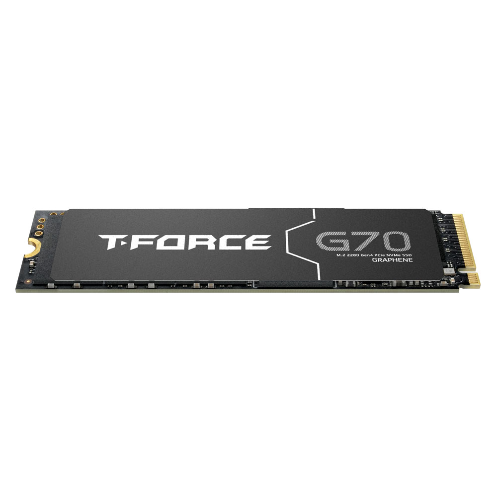 G70 M.2 PCIe 4.0 SSD