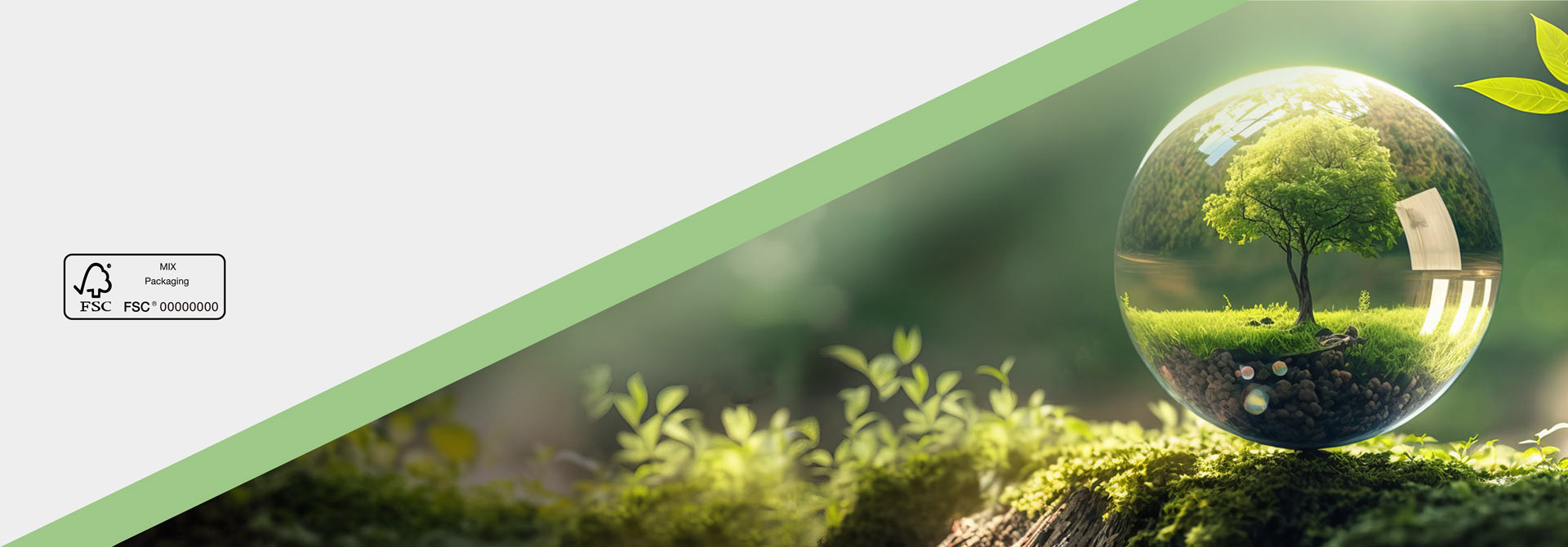 FSC-Certified Eco-Friendly Paper Packaging to Protect Earth's Ecology