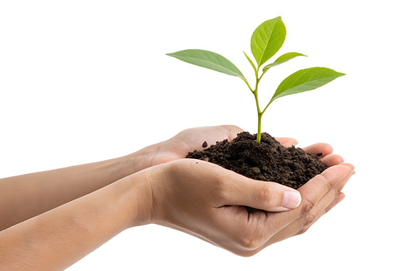Preserving the planet with an eco-friendly product