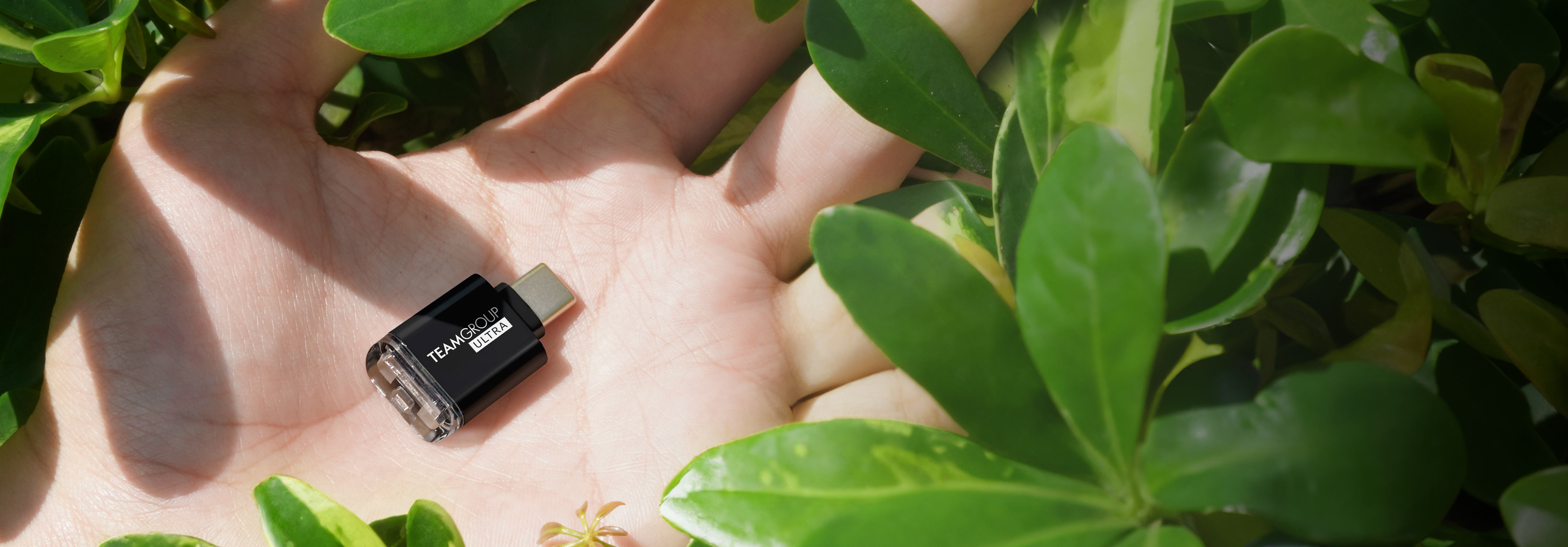 Eco-friendly Recyclable Packaging for Earth Conversation