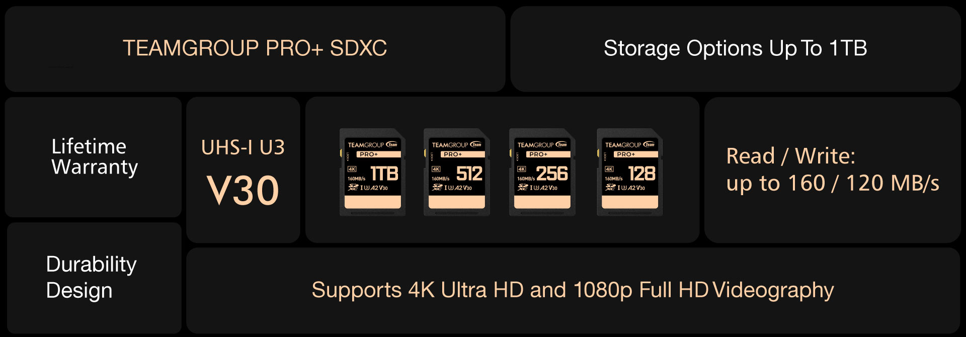 06_PRO+ SDXC Memory Card_Introduction