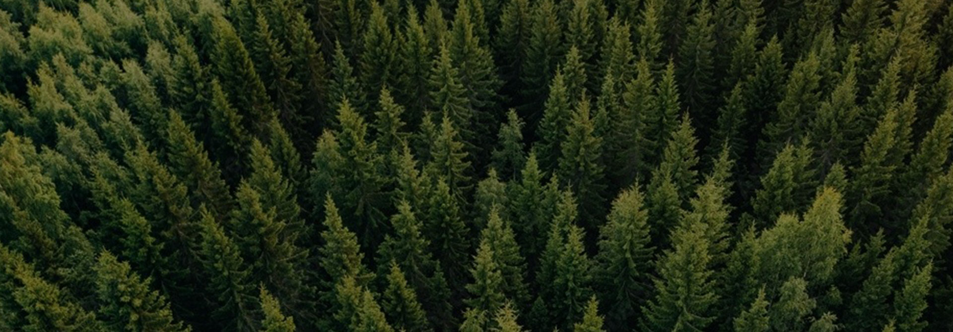 Eco-Friendly Materials for Protecting the Planet