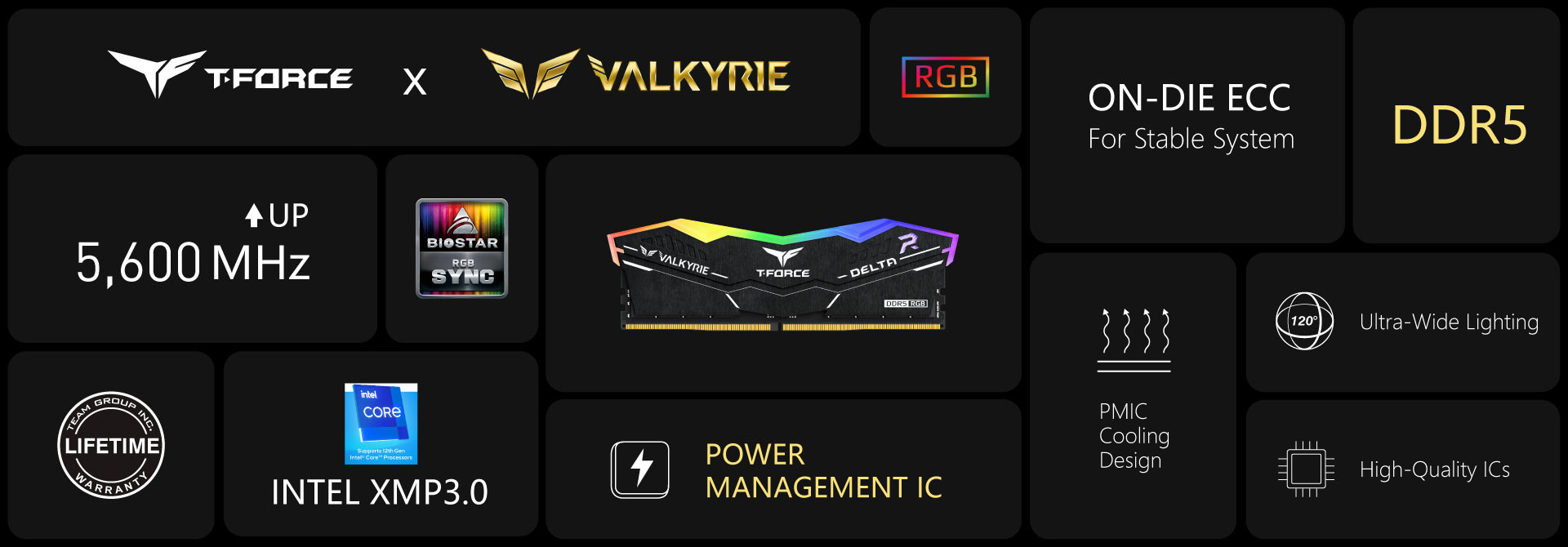 07_DELTA RGB DDR5 VALKYRIE Edition DESKTOP MEMORY_Introduction