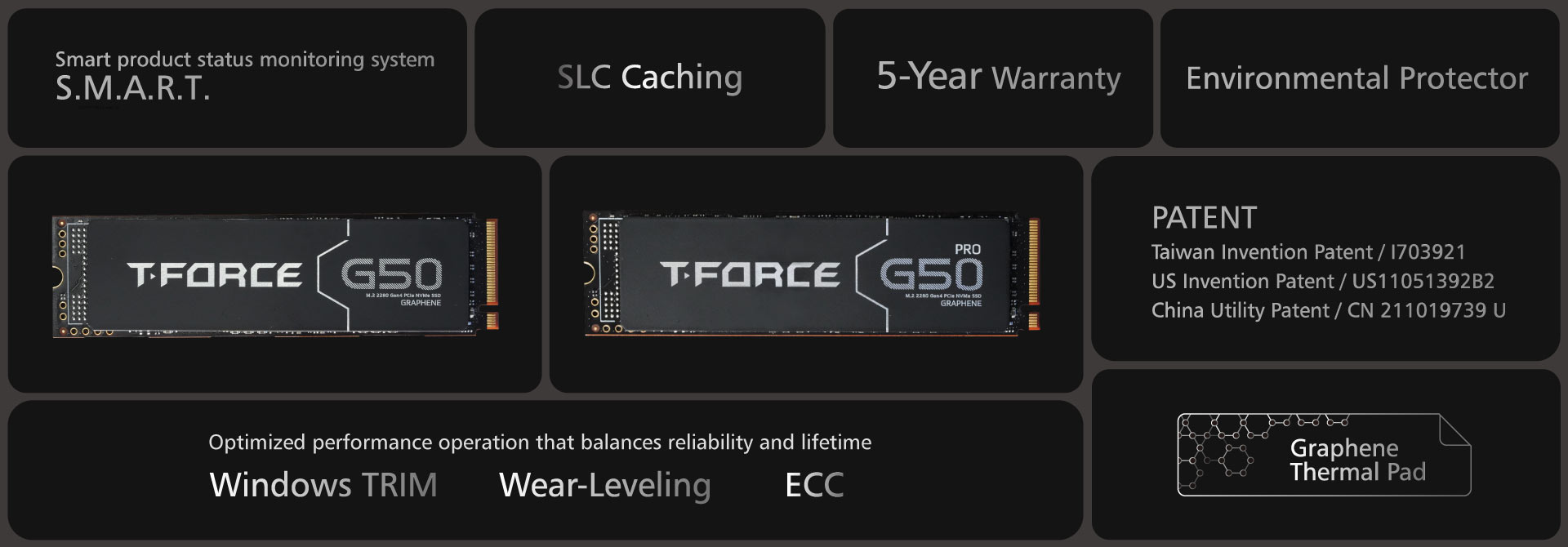 08_G50 M.2 PCIe SSD_Introduction