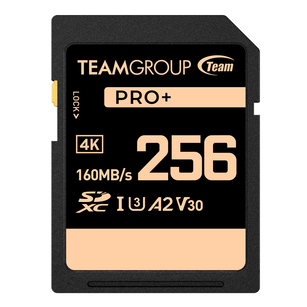 PRO+ SDXC Memory Card