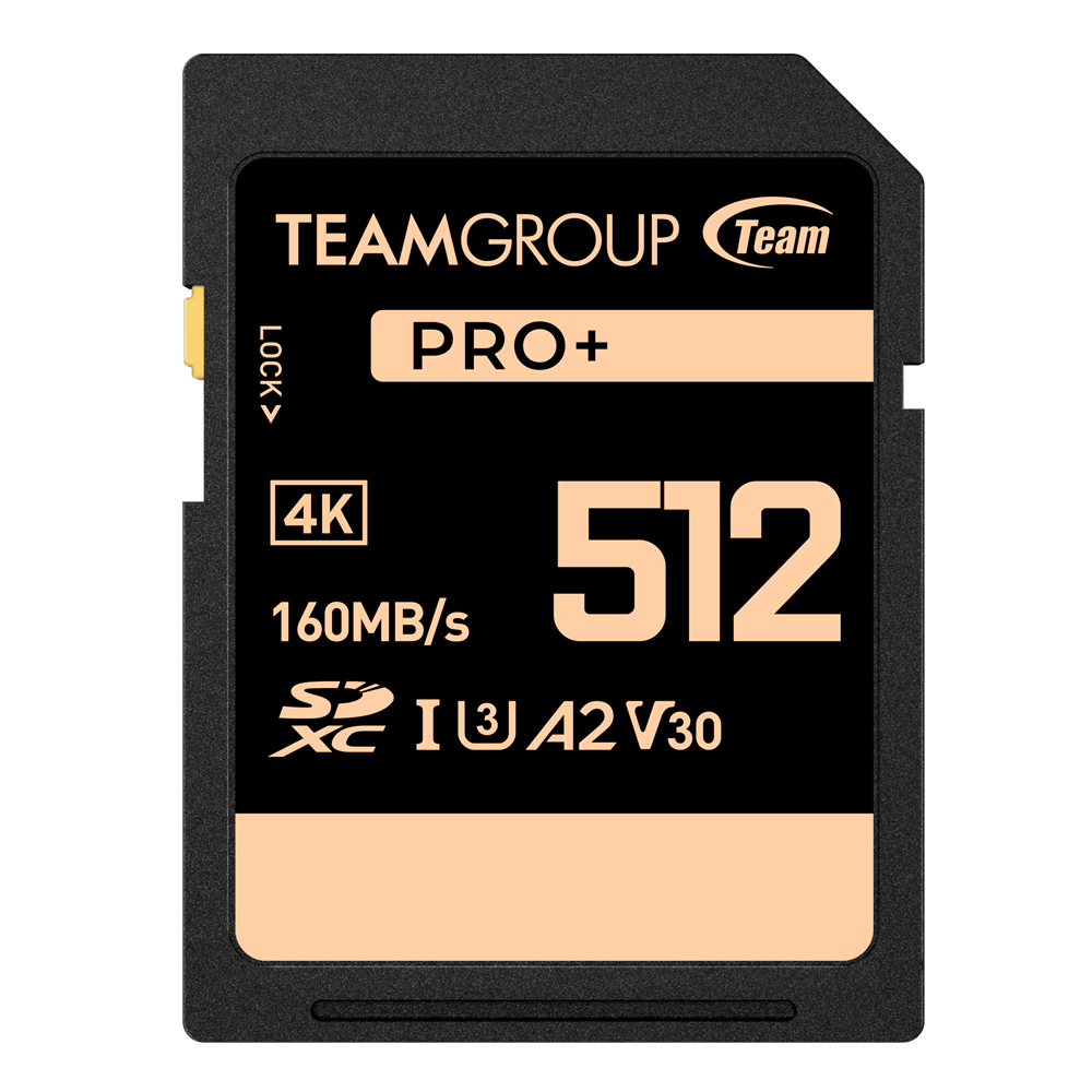 PRO+ SDXC Memory Card