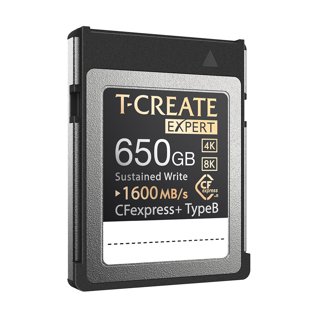 EXPERT CFexpress Plus Type B Memory Card