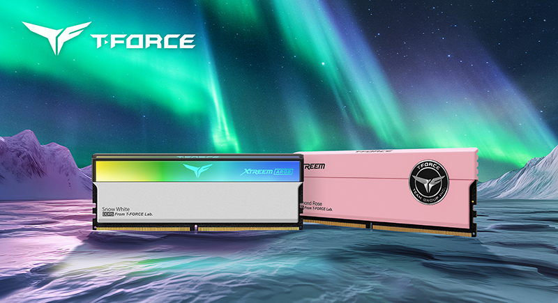 03_D700-card_800x435